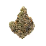 Project 4516 - Image 2