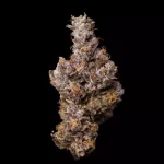 Permanent Marker (J Beezy) - Image 2