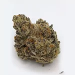 Cheetah Piss - Image 2