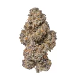 Scented Marker - Image 2