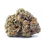 Mac Stomper (Sunken Treasure Cut) - Image 2