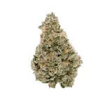 Key Lime Jack - Image 2