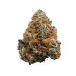 Dark Rainbow (Jungle J Cut) - Image 2