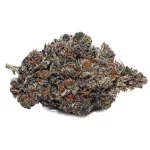 Red Hotz (Fiya Farmer) - Image 2