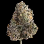 Permanent Push Pop - Image 2