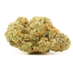 Sunset Fritter - Image 2