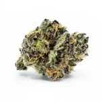 Truffaloha - Image 2