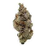 Truffle Monkey - Image 2