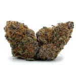 Blueberry F5 - Image 2