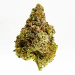 Orange Flambé - Image 2