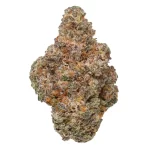 Rancid Rainbow - Image 2