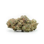 Astronaut Status 24 (Clearwater Genetics Cut) - Image 2