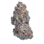 Blockberry (Pink Panties Cut) - Image 2