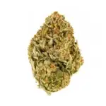 Motor Breath #15 - Image 2