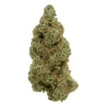 Mule Fuel (Thug Pug Breeder Cut) - Image 2