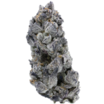 Permanent Chimera 89 - Image 2