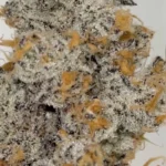 Platinum Chimera Breath #16 (Beleaf Cut) - Image 2