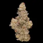 Sherb Cocktail #7 (Billytheroot) - Image 2