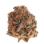 Blue Cookie (RAW Genetics) - Image 2