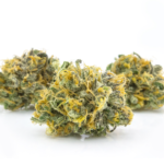 Blue Dream (Santa Cruz) - Image 2