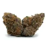Blueberry F5 - Image 2