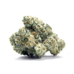 CAP Junky (Seed Junky) - Image 2