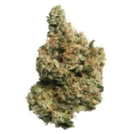 Chem91’ (Va Skunk Cut) - Image 2