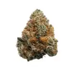 Dark Rainbow (Jungle J Cut) - Image 2