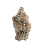 Hippie Crasher (Seed Junky) - Image 2