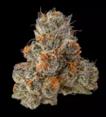 Kryptochronic - Image 2