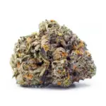 Mac Stomper (Sunken Treasure Cut) - Image 2