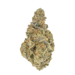 Papaya Bomb - Image 2