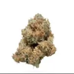 Petrol Station - Image 2