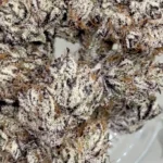 Pina Colada (Beleaf Cut) - Image 2