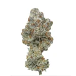 Pure Michigan (3rd Coast Cut) - Image 2