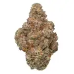 Rancid Rainbow - Image 2