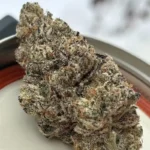 Randy’s Candy AKA Randy's Legacy (Honey Sticks) - Image 2