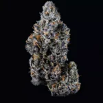 Sherb Cream Pie - Image 2