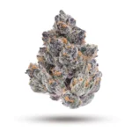 Super Boof - Image 2