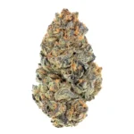 Forum Girl Scout Cookies - Image 2