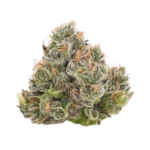 Northern Lights - Image 2