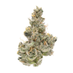 NYC Sour Diesel - Image 2