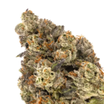 Berries N Cherries (Gingerbred Cut) - Image 2