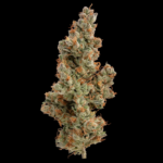 GMO (Skunkmaster cut) - Image 2