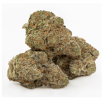 Papaya Power - Image 2