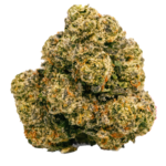 Rainbow Guava #10 - Image 2