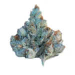 Burn Out - Image 2