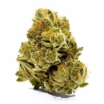 Jet Fuel - Image 2