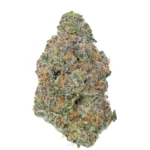Rainbow Zangria - Image 2