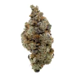 Truffle Monkey - Image 2